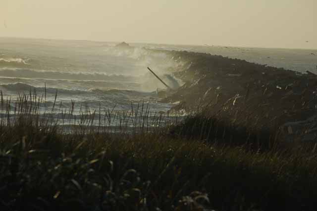 Half Moon Bay, Westport